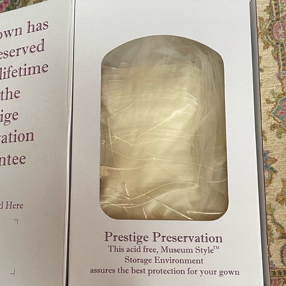 2008 Rivini Bridal Gown - Picture 2 of 5